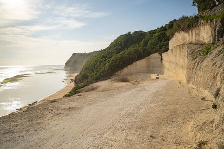 Tropical ocean shore with golden sand and green rocks