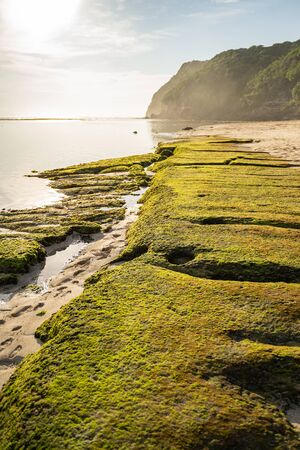 Rocks with moss washed by ocean in beach surrounded by cliffs