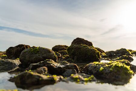 Calm ocean is washing rocks covered with greenery under sun