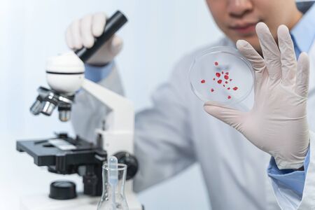 Let me check. Serious researcher sitting at his workplace and doing blood expertise with microscope