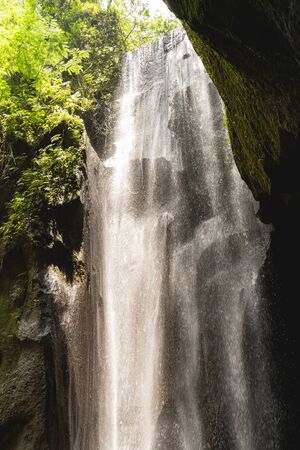 Beautiful nature. Nice picture of peaceful nature that inspires tourists, green plants growing on...