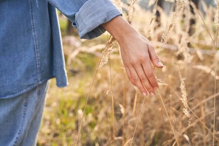 Cropped photo of a young female passing her hand over wild flowers in the fieldの写真素材