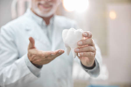 Close-up photo of a big tooth replica being held by a qualified dentist wearing a labcoat standing in his officeの写真素材