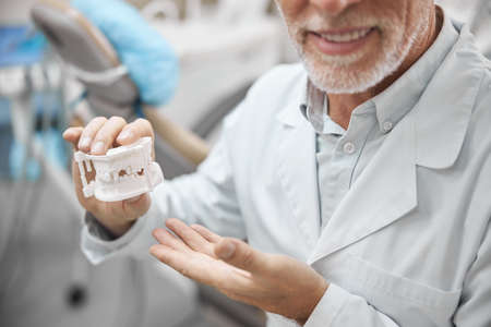 Cropped photo of a professional dental technician holding a plaster mold of patients jaws