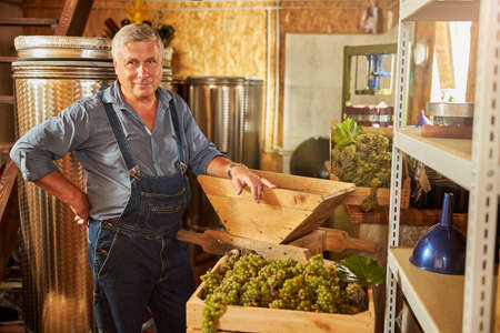 Contented winemaker having his arm on his side and standing near a grape crusher at his wineryの写真素材