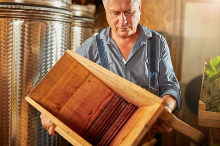 Professional senior winemaker holding a wooden grape crusher while getting ready to process grapesの写真素材