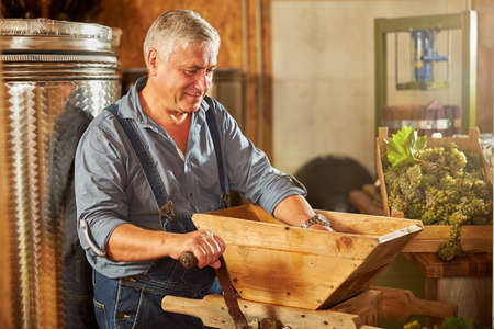Passionate winemaker using a wooden grape crusher in the process of wine-making