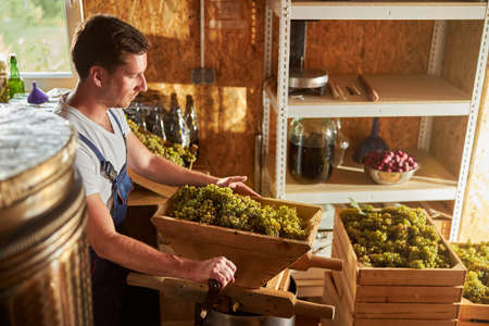 Handsome young winery worker moving the handle on a grape crusher while making juiceの写真素材