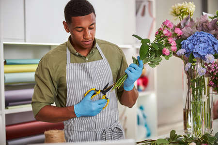Young guy in apron is making fresh bouquet and cutting roses stems with professional scissorsの写真素材