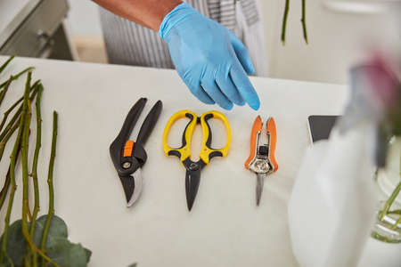 Top view cropped head close up of table with roses stems and set of scissors while man is choosing...