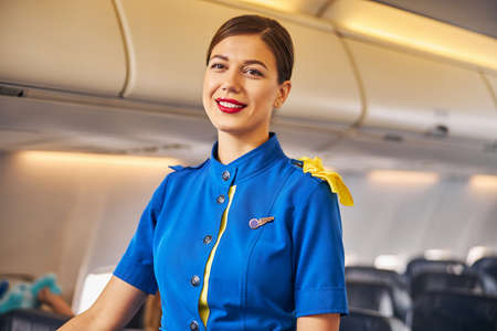 Waist-up photo of a brunette female flight attendant wearing a blue uniform and yellow bow on her...