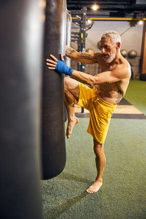 Full-sized portrait of a gray-headed bearded barefoot shirtless Caucasian male athlete kneeing the punching bagの写真素材