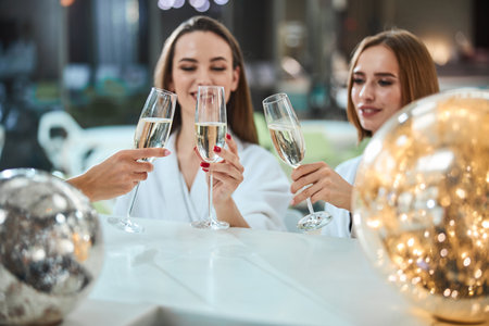Beautiful young ladies raising glasses of champagne while spending some quality time togetherの写真素材
