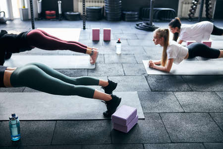 Cropped photo of strong ladies practising planking and core endurance at the gym togetherの写真素材
