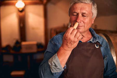 Handsome winemaker enjoying the scent of wine corkの写真素材
