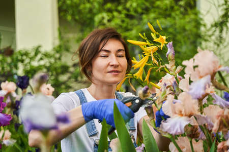 Gardener in gloves cutting flower with pruning shearsの写真素材