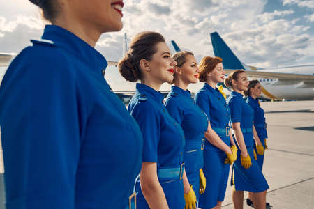 Group of young attractive stewardesses gazing into the distanceの写真素材