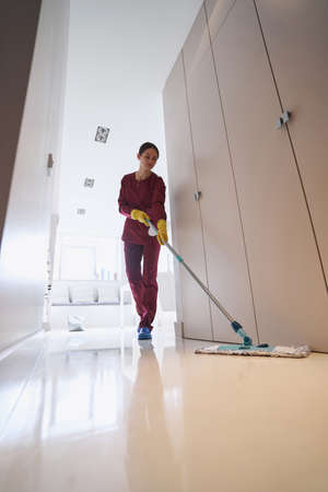 Focused experienced cleaner doing wet cleaning in apartmentの写真素材