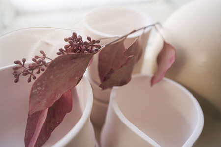 Ceramic wares and dried flower in pottery shopの写真素材