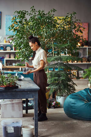 Focused florist filling a polyhedron terrarium container with potting mixの写真素材