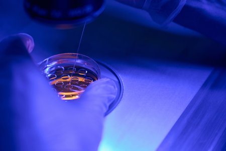 Genetic laboratory technician doing embryo biopsy in clinic