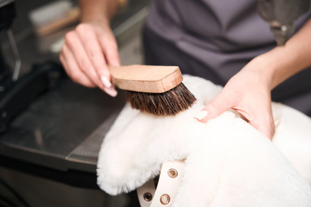 Dry-cleaning service worker treating fur on coat with special brushの写真素材