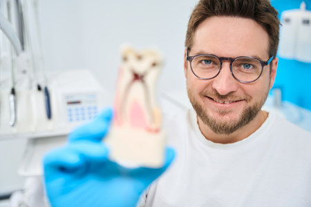 Stomatologist showing model of tooth, explaining way of treatmentの写真素材