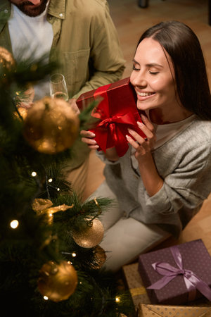 Woman with man with glasses of champagne celebrating New Year eve at homeの写真素材