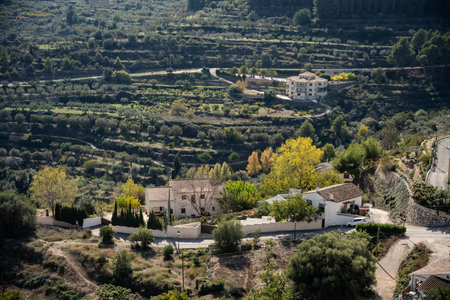 Large panorama of old town and olive plantations in Guadalest in Spain