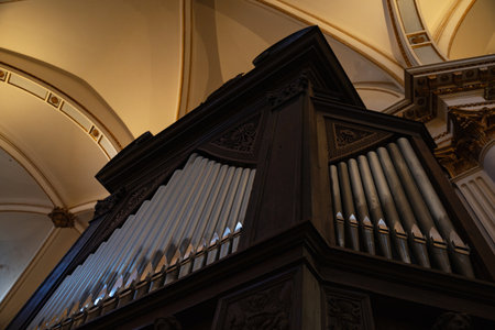 Musical organ with stainless in the Saint Mary Cathedral, Valencia, Spain