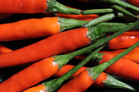 Red chillies vegetable background, close up imageの写真素材