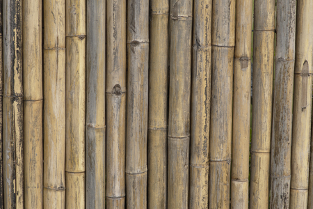 Close-up bamboo fence background texture, tradition tropical design found in chinese, japan , Asia.の写真素材