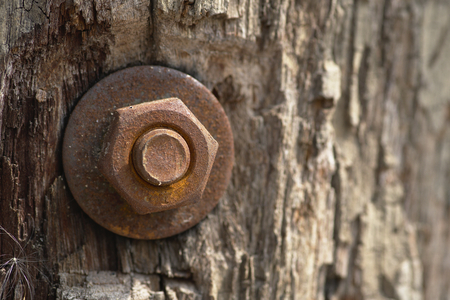Old rust nut on wooden pole, building wood material outdoors.