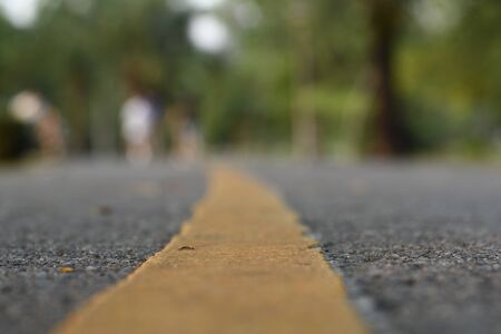 Blur walkway focus on yellow line cross into park. Shoot in ant view people and green park background was blur. Horizontal color image.の写真素材
