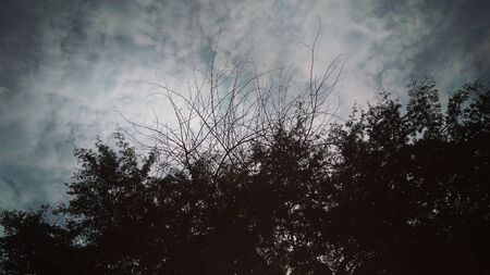 Winter Seasonの写真素材