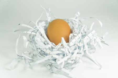 Egg in recycle paper nest
