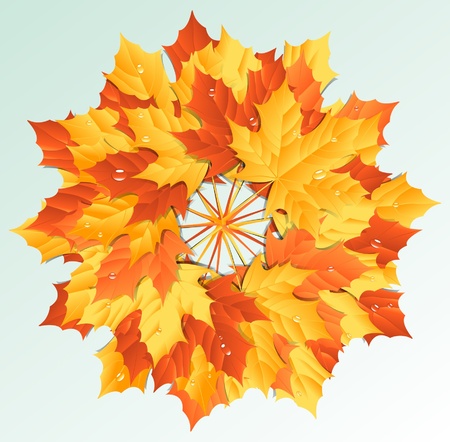 maple leavesのイラスト素材