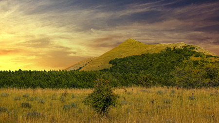 beautiful mountain summerの写真素材