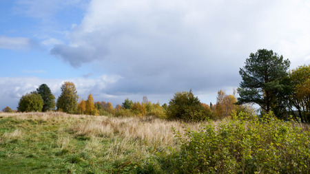 shore of the lakeの写真素材