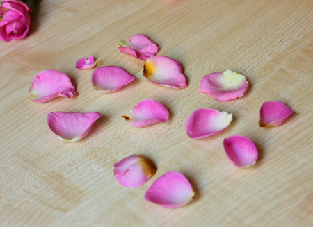 Rose petals on the wood tableの写真素材