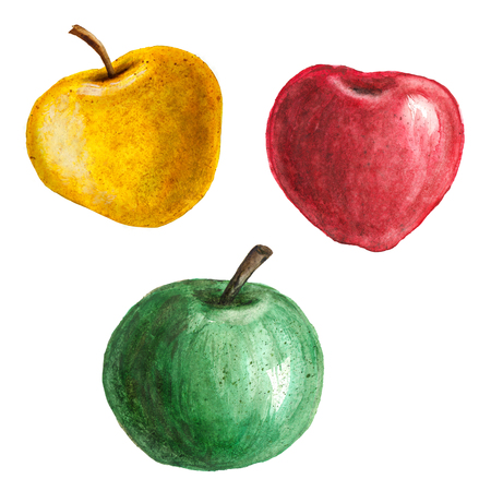 collection of  watercolor textured apples on white backgroundの写真素材