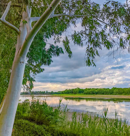 lake in the forest, amazing nature backgroundの写真素材