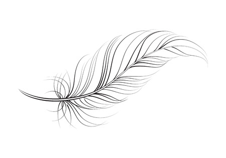 clip art feather, vectorのイラスト素材