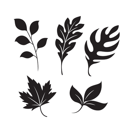 graphic leaf, vectorのイラスト素材