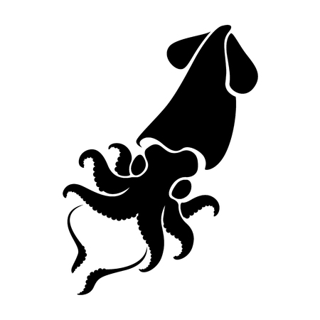 graphic squid, vectorのイラスト素材
