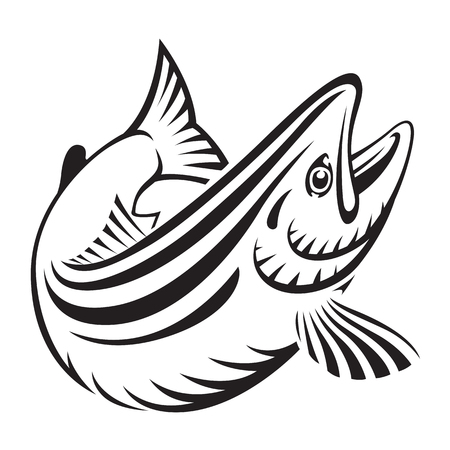graphic salmon fish , vectorのイラスト素材