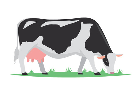cow milkのイラスト素材