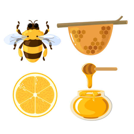 bee cartoon image lemon and honey, cute illustration on white backgroundのイラスト素材
