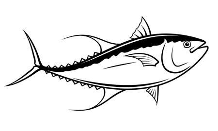 Black and white drawing of a tuna fish on a white background.のイラスト素材