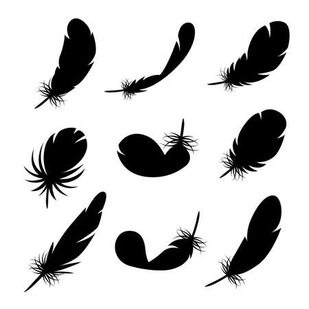 set of black feather drawings on a white background.のイラスト素材